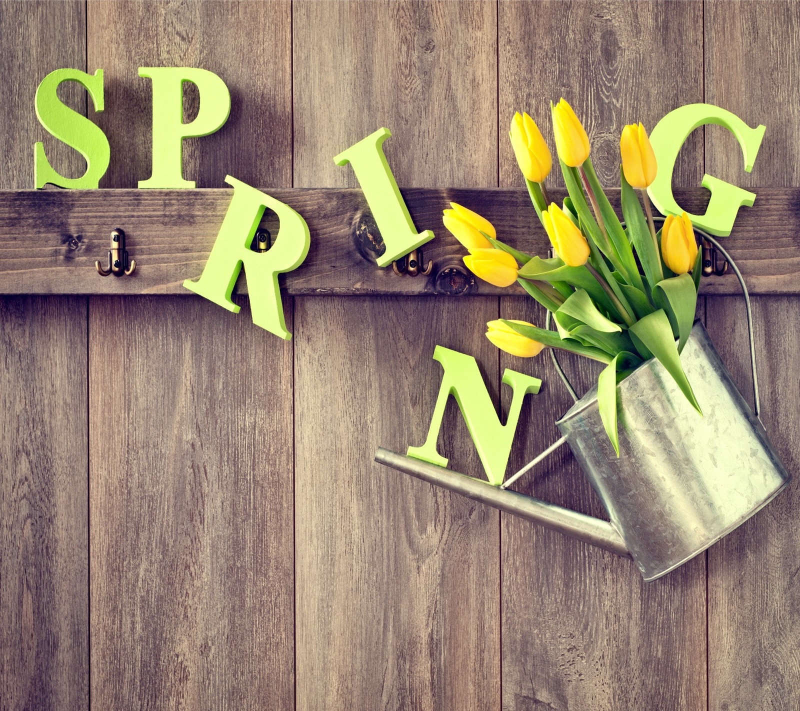 bouquet, flowers, spring, tulips Download Wallpaper