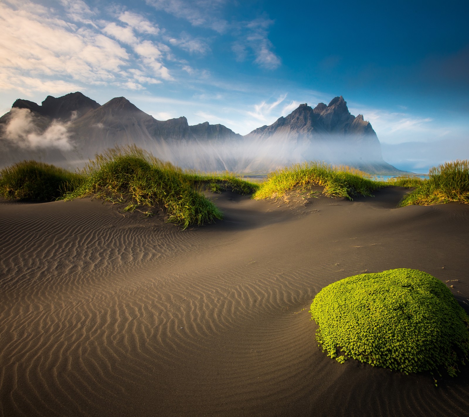 Arafed sand dune with a green plant and mountains in the background (iceland, mountain, plant, sand)