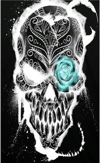 black and white, skull