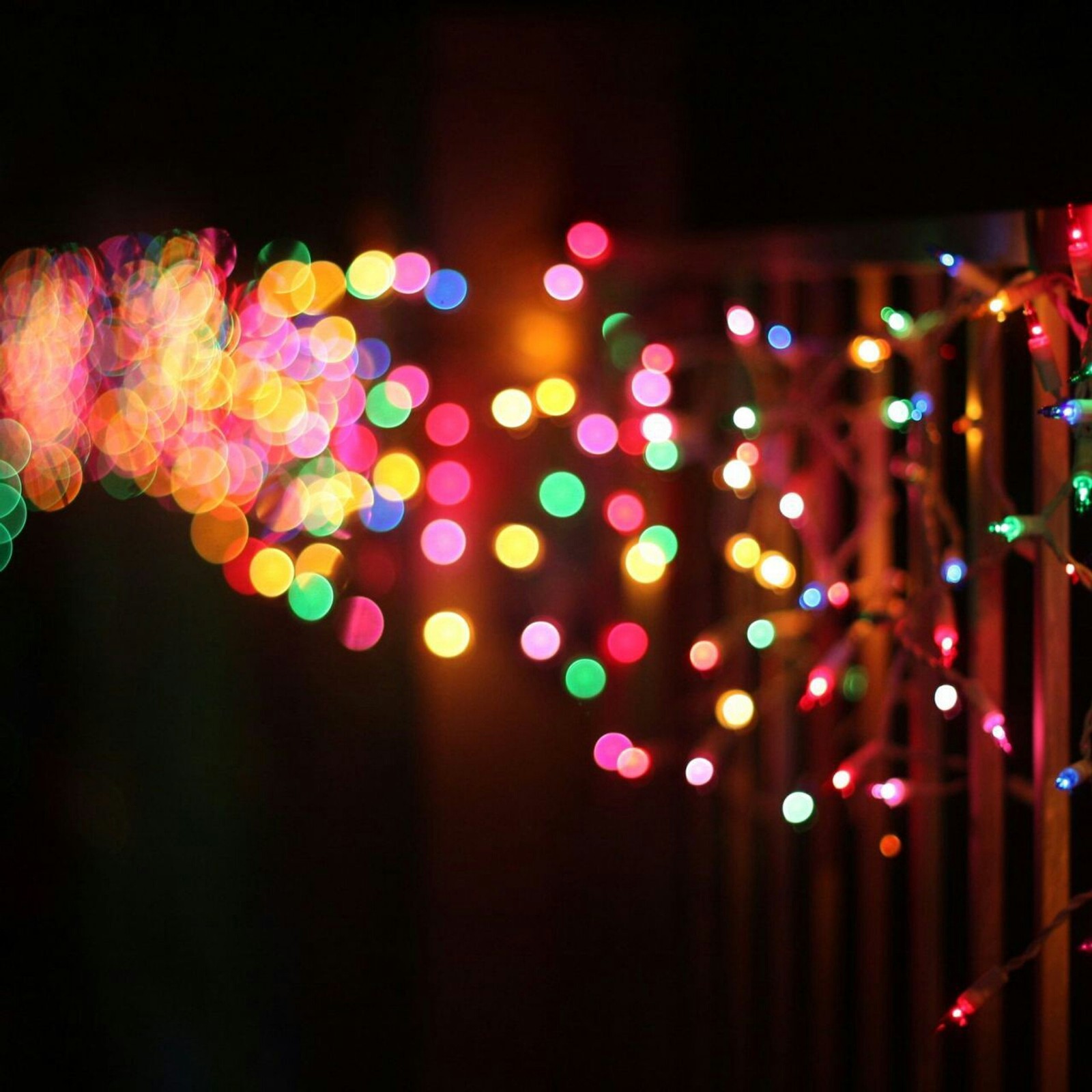 Brightly colored lights are strung from a fence in the dark (christmas, lights)