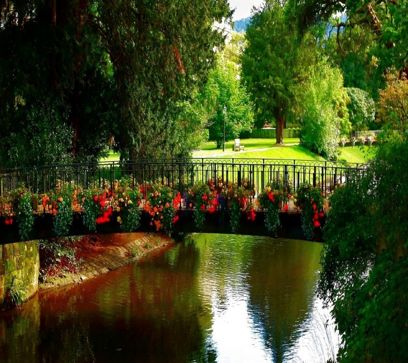 There is a bridge over a river with flowers on it (nature)