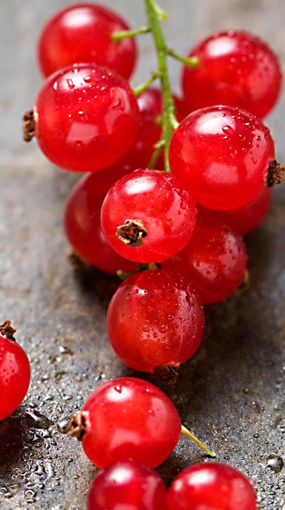 Lebendige rote Johannisbeeren mit frischen Tauperlen auf Steinoberfläche