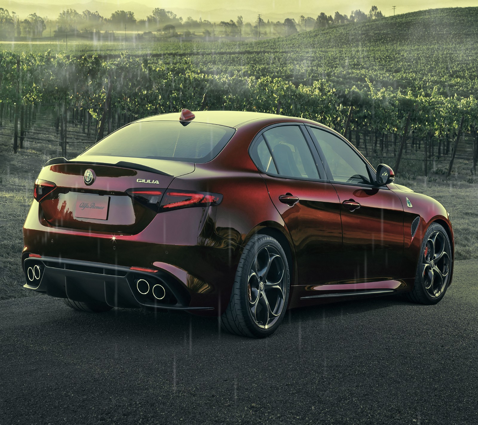 A close up of a red car parked in a vineyard (alfa, alfa 2017, alfa romeo, background, giulia)