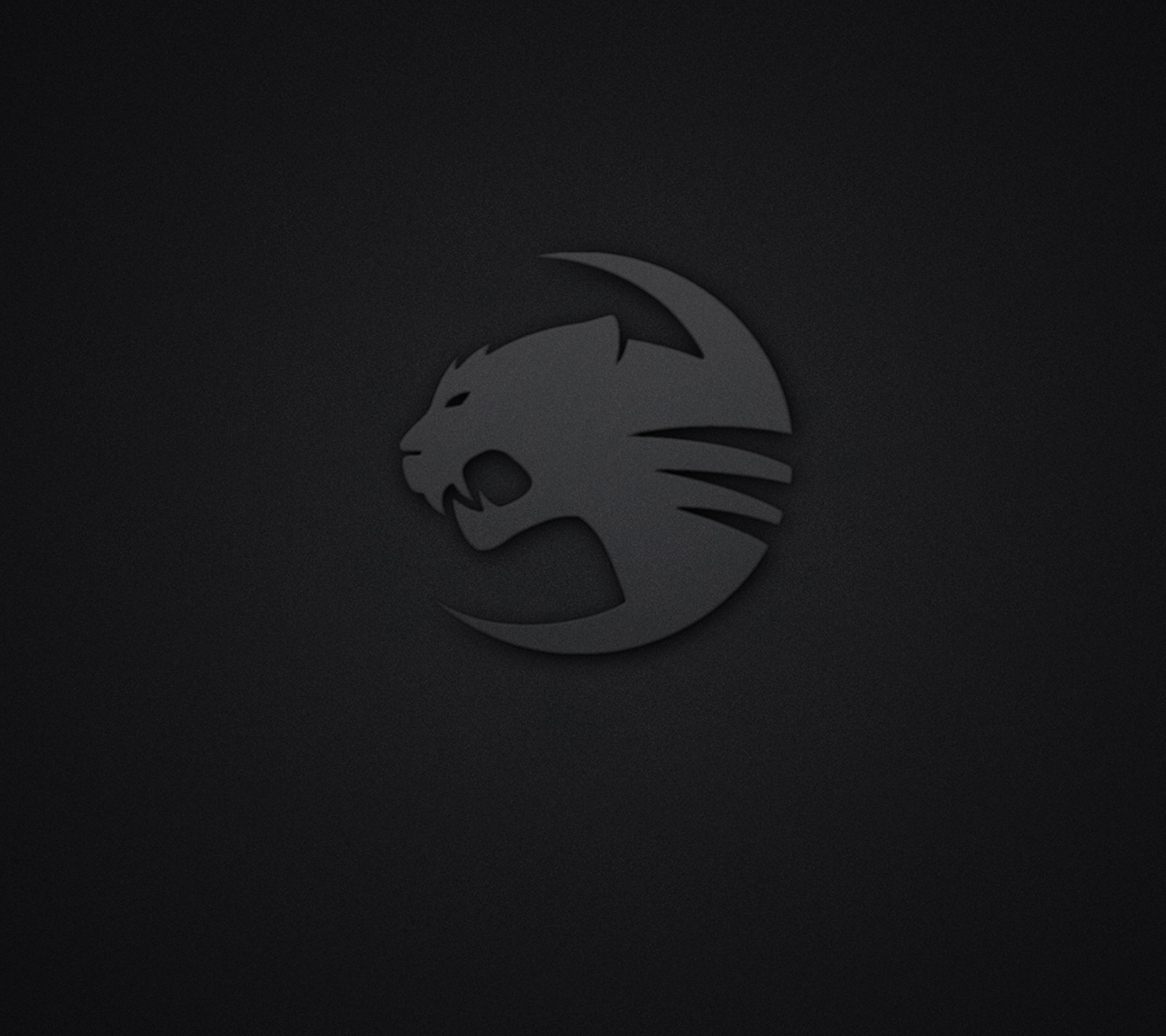 A black and white photo of a cat logo on a dark background (barbaivan, black, game, minimal, rocat)