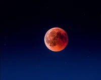 lunar eclipse, moon, eclipse, celestial event, atmosphere wallpaper