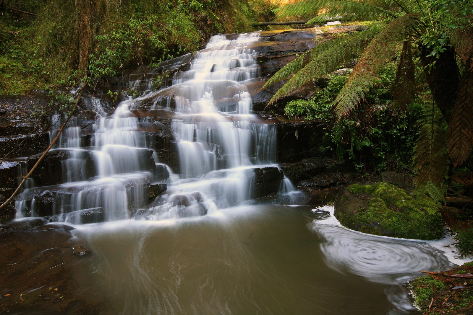 Cascada en medio de un bosque con un puente sobre ella (cascadas de hopetoun, cascada, parque, naturaleza, parque nacional)