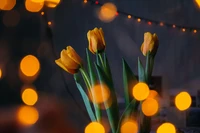 Tulipanes amarillos con luces bokeh y hojas verdes