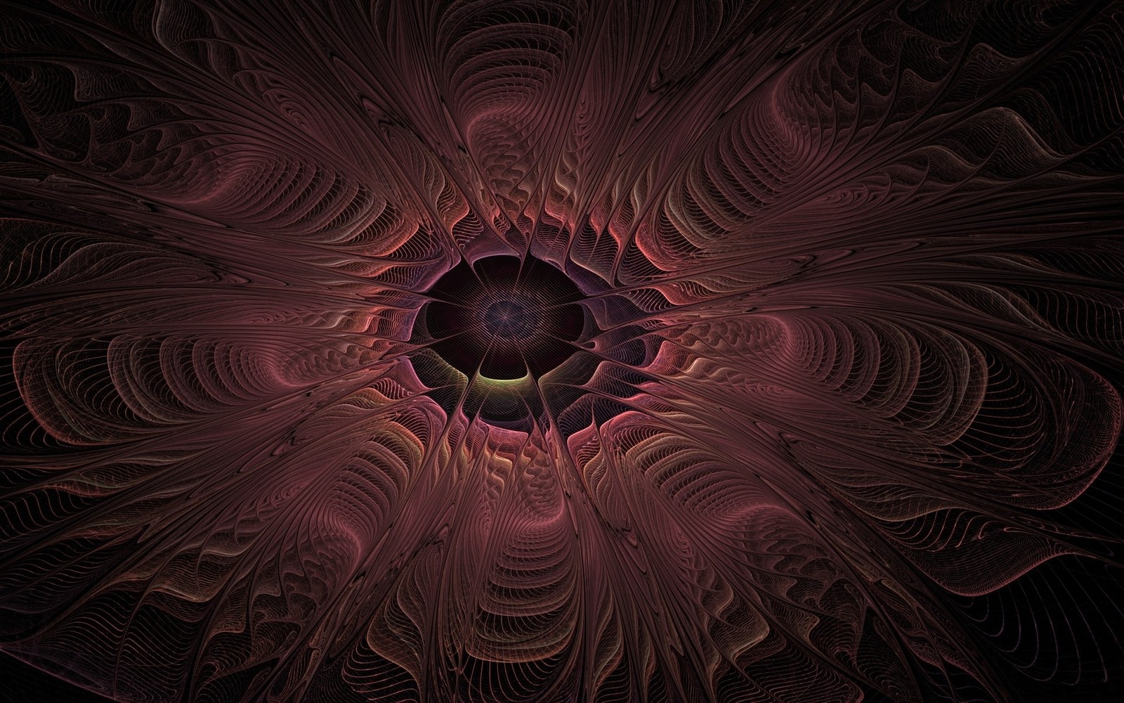 Une image générée par ordinateur d'une fleur avec un fond sombre (art fractal, symétrie, cercle, motif, photographie macro)