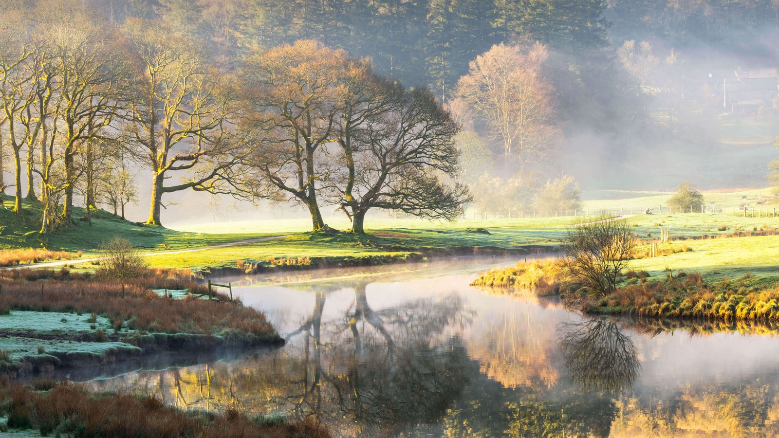 Деревья отражаются в воде потока на поле (river brathay, осень, пейзаж, туманный, утро)