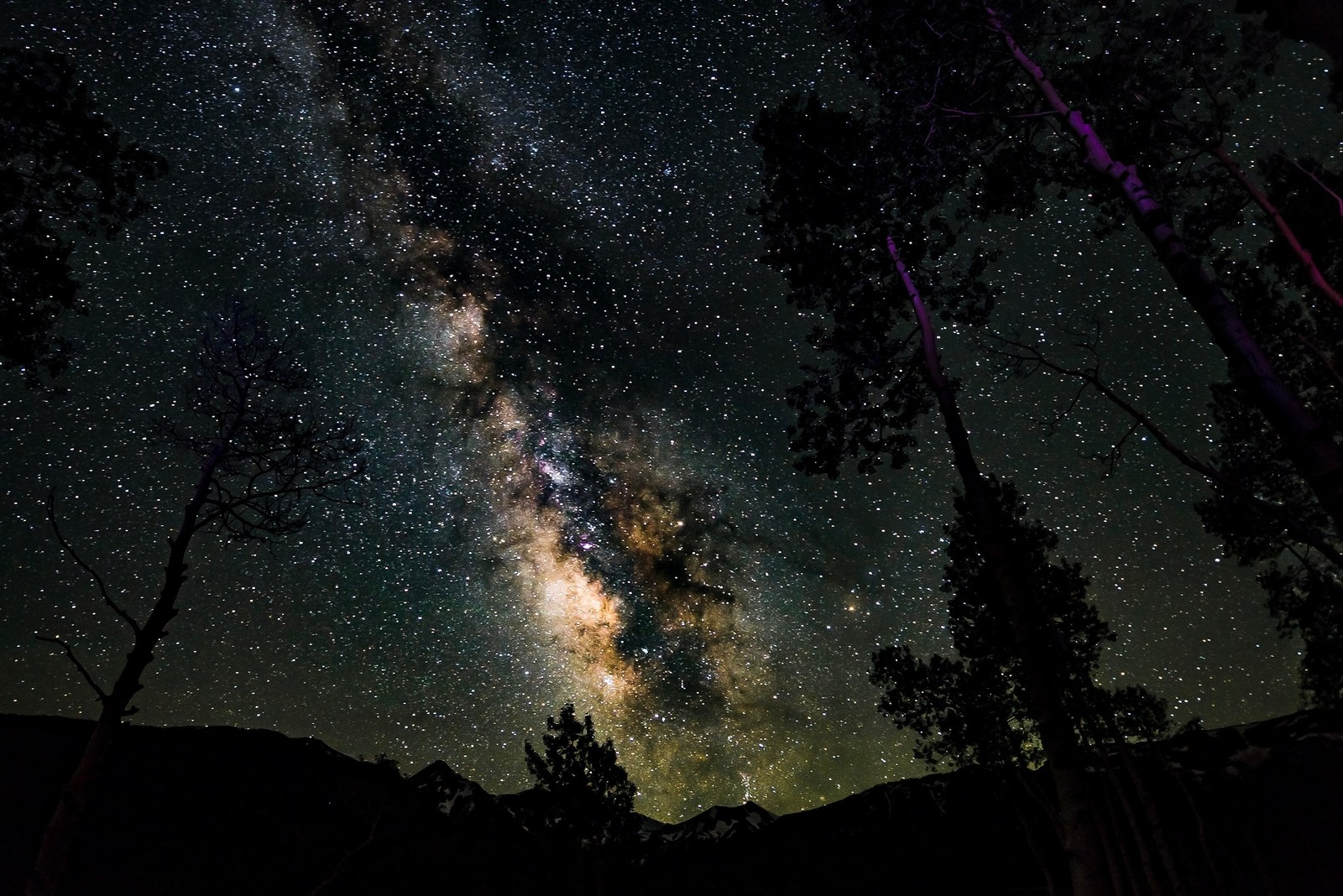 Via láctea e as estrelas acima das árvores nas montanhas (galáxia, astronomia, estrela, céu noturno, noite)