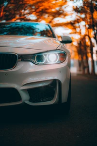 Elegante BMW M3 branca com faróis iluminados, emoldurada por folhagem de outono.