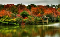 Herbstliche Gelassenheit: Lebendige Blätter, die sich in einem Ruhigen Teich spiegeln