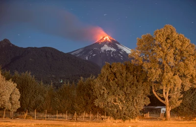 вилларрика, villarrica, вулкан, гора, дерево