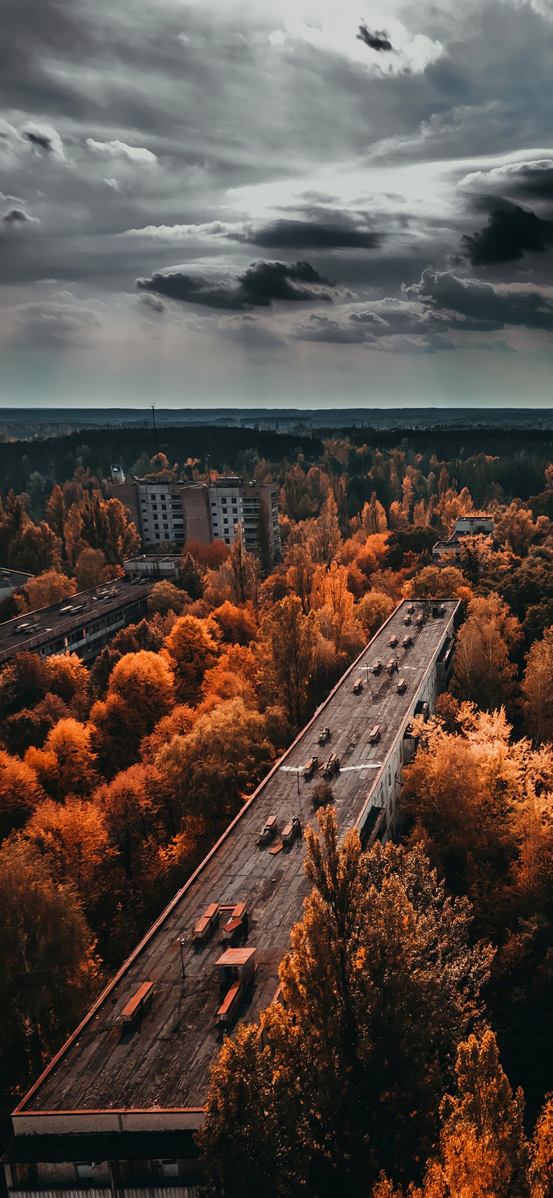 Деревья на переднем плане и автомагистраль на заднем плане (припять, prypyat, челка, облако, атмосфера)