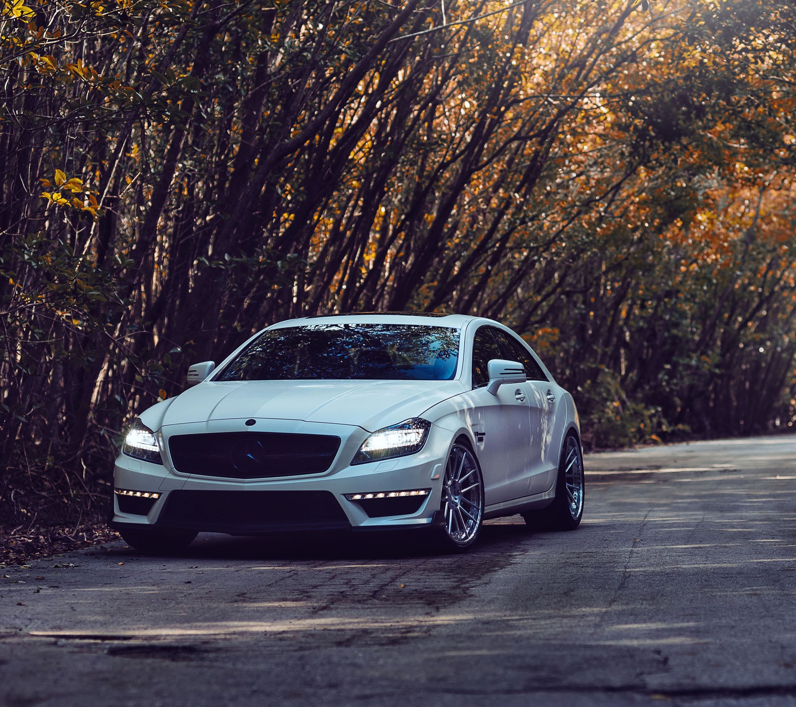 Un coche blanco estacionado en una carretera frente a un bosque (amg, coche, cls, alemania, mercedes)