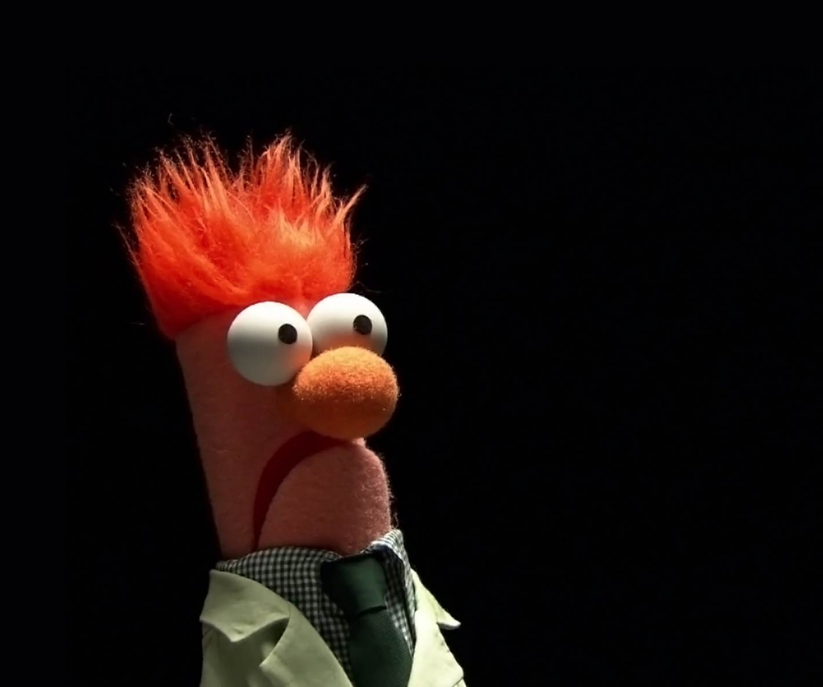 Baixar papel de parede beaker, desenhos animados, muppet