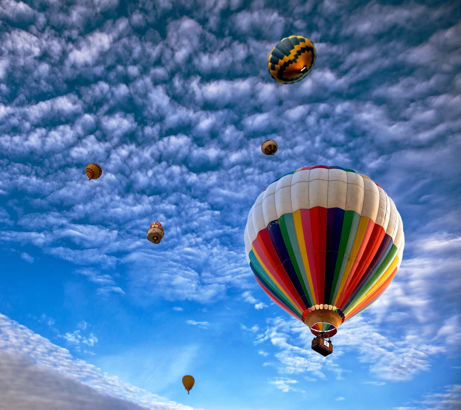 Plusieurs montgolfières volant dans le ciel avec un ciel bleu (air, ballon, nuage, cieux, ciel)