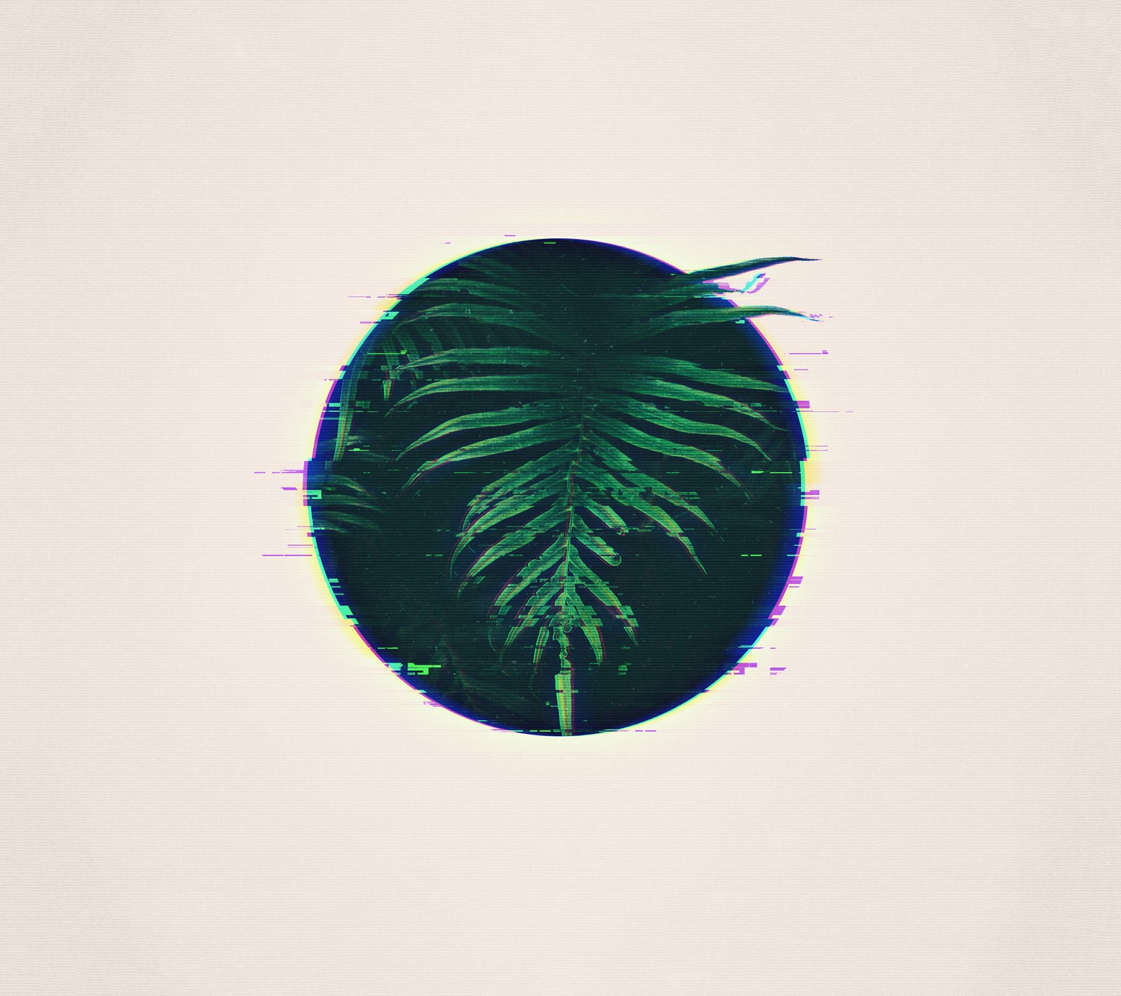 Arafed photograph of a green plant in a circular frame (glitch, green, leaf, leaves, retro)