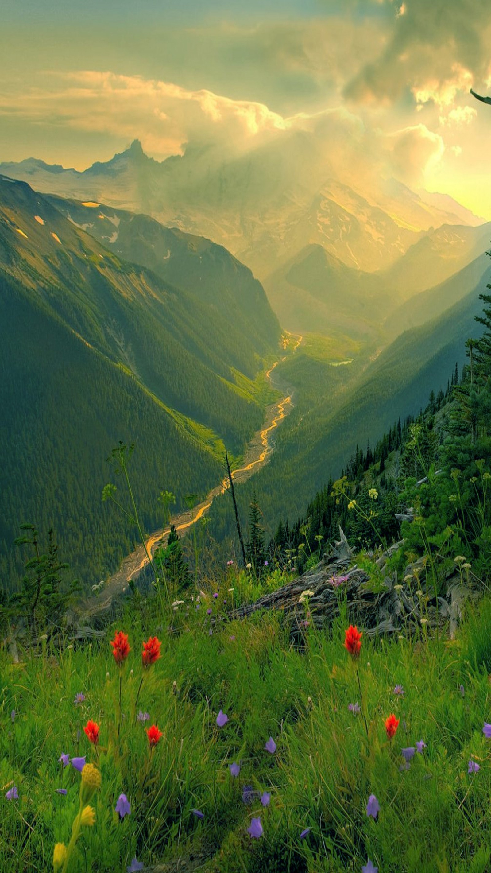 Mountains with a valley and a river in the distance (flowers, green, landscape, nature)