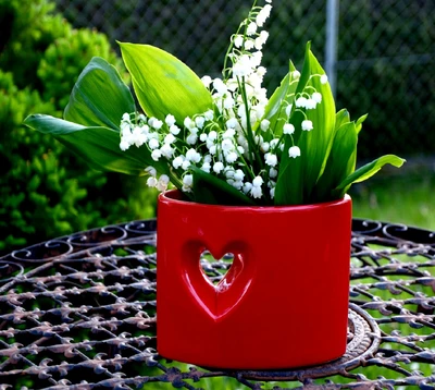 Flores sinceras em um vaso querido