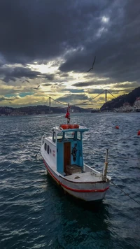 Serene Views of Arnavutköy: A Fishing Boat Amidst Istanbul's Natural Beauty