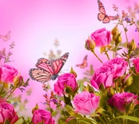 beautiful, butterflies, pink roses, romantic wallpaper