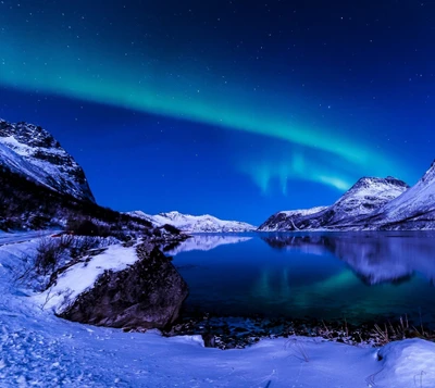 Paysage d'hiver gelé sous les aurores boréales