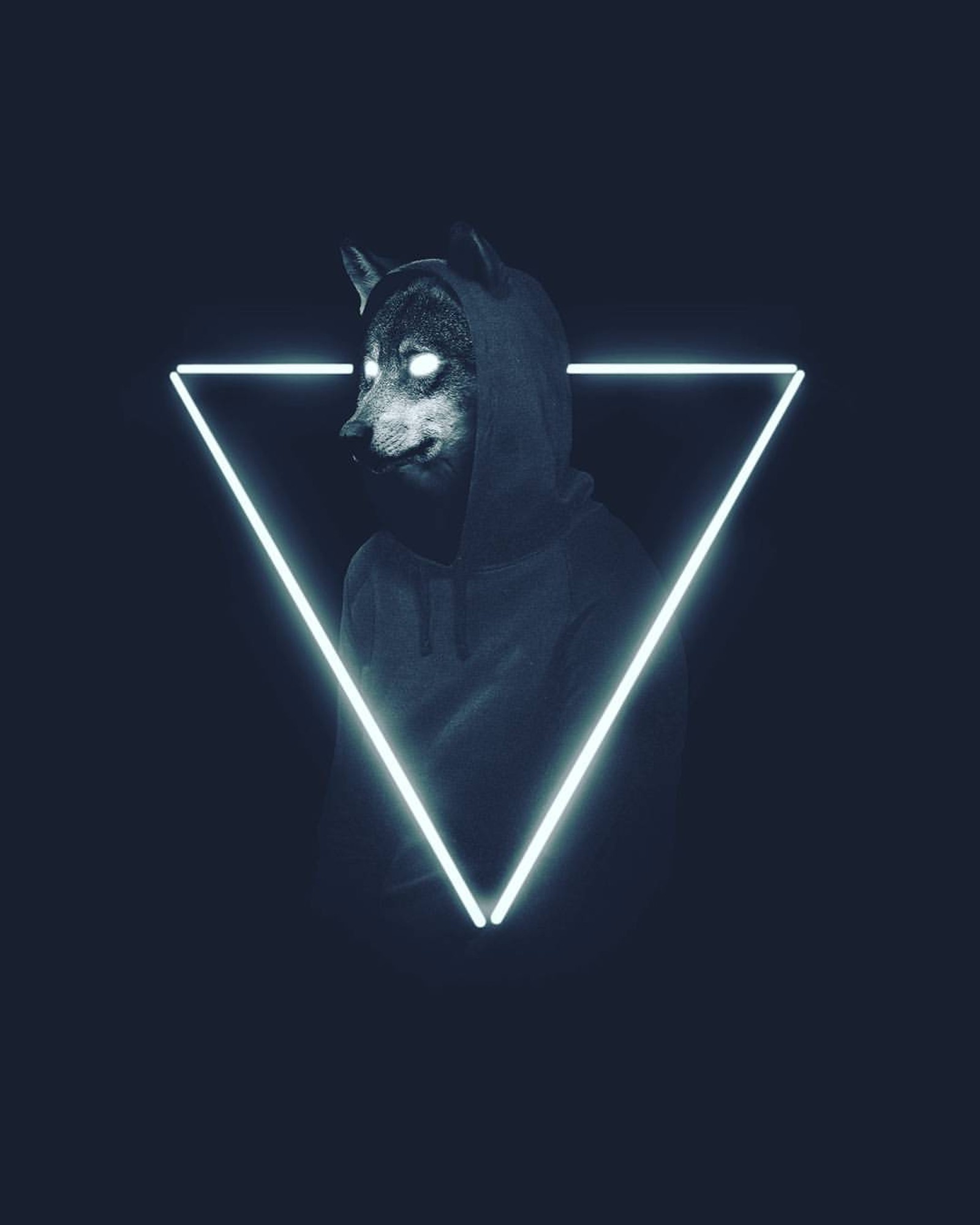 abstract, light, neon, wolf wallpaper