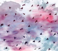 Flock of Birds Amidst Colorful Sky