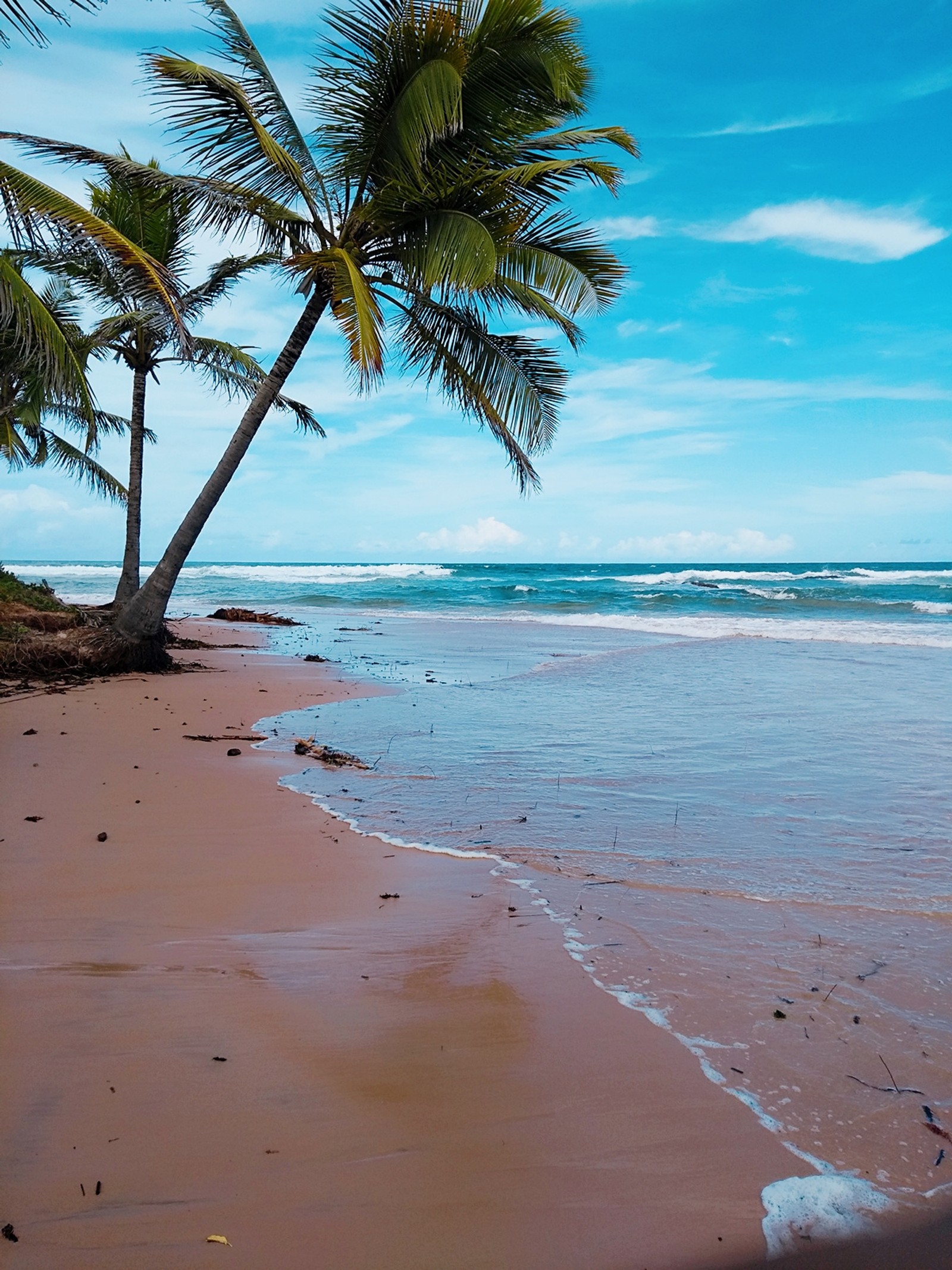 Il y a une planche de surf posée sur la plage (plages, hd, paysage, paisagens, plage)