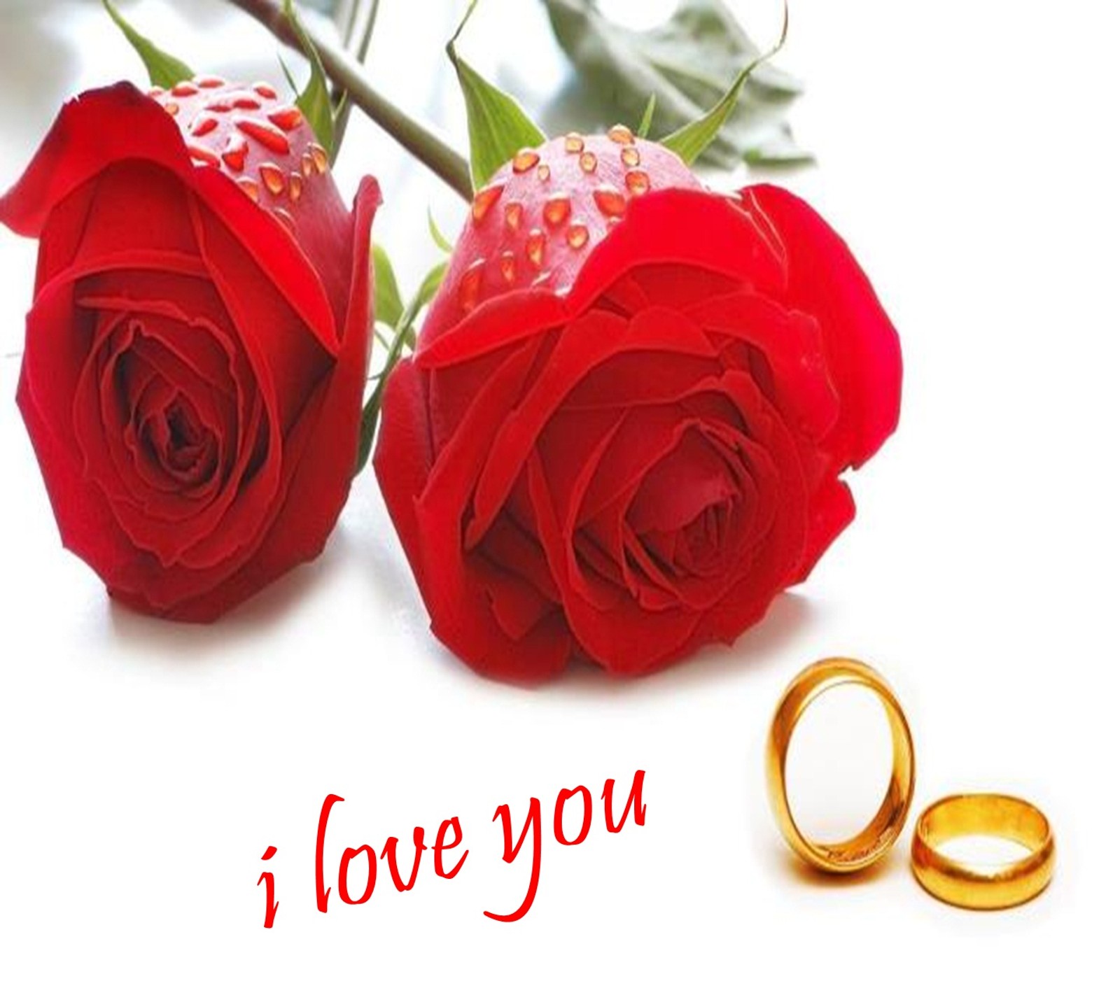 2013, i love you, love, rose Download Wallpaper