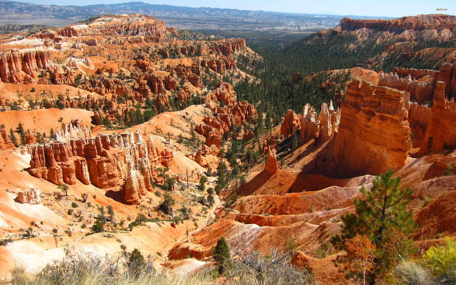 Canyon de bryce dans le parc national de bryce, utah (parc national de bryce canyon, badlands, parc national, attraction touristique, canyon)