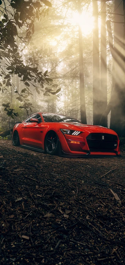 Red Ford Shelby Mustang parked in a misty forest, showcasing its sleek design and powerful stance.