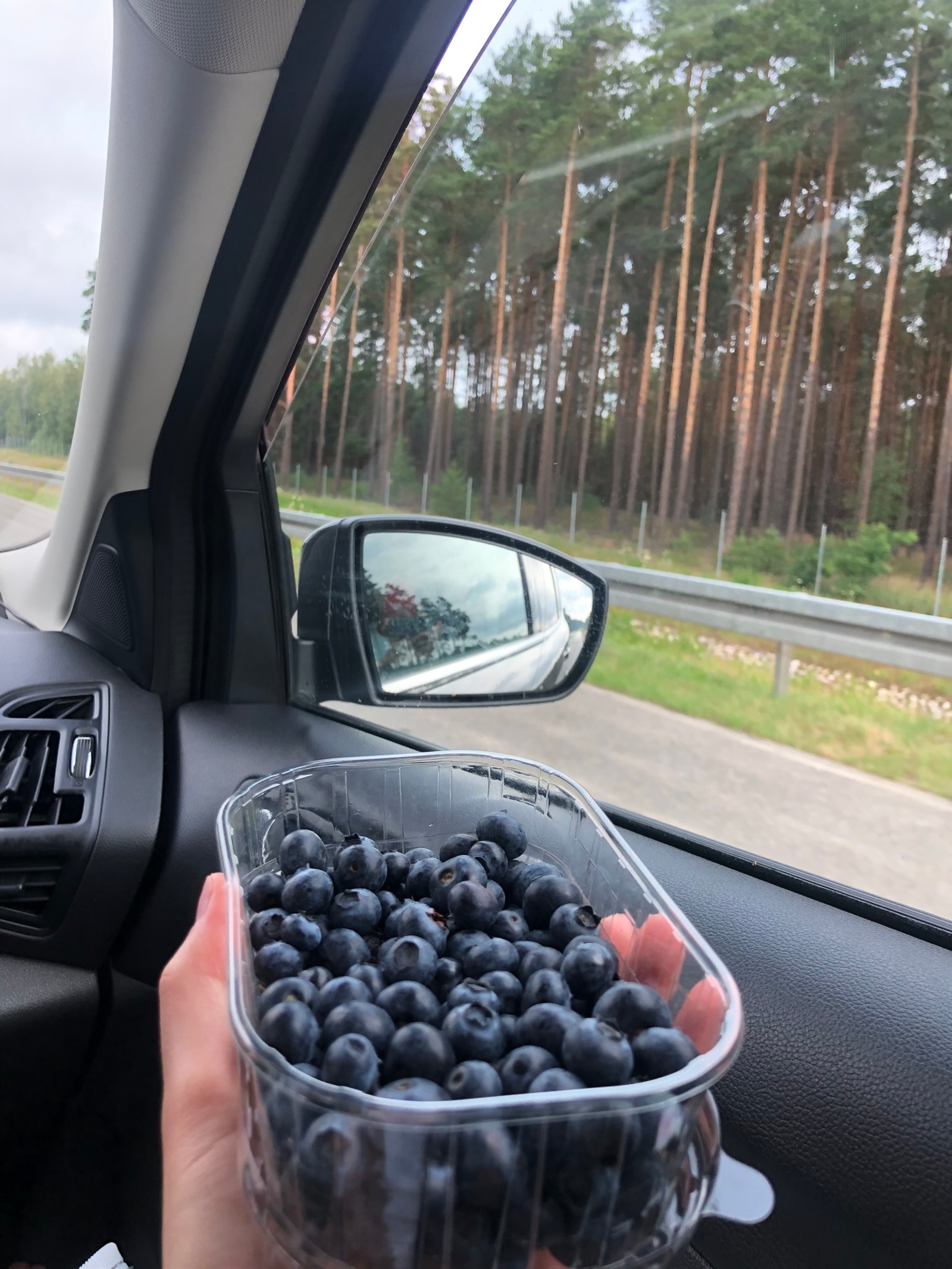 Quelqu'un tient un bol de myrtilles dans sa main dans une voiture (voitures, science, incassable, biologie, miroir automobile)