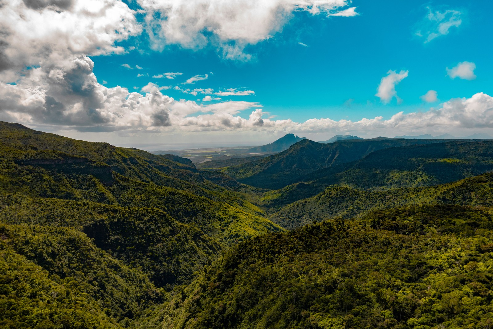 Une vue des montagnes et des vallées depuis un point de vue élevé (parc national, formes montagneuses, montagne, hauts plateaux, végétation)