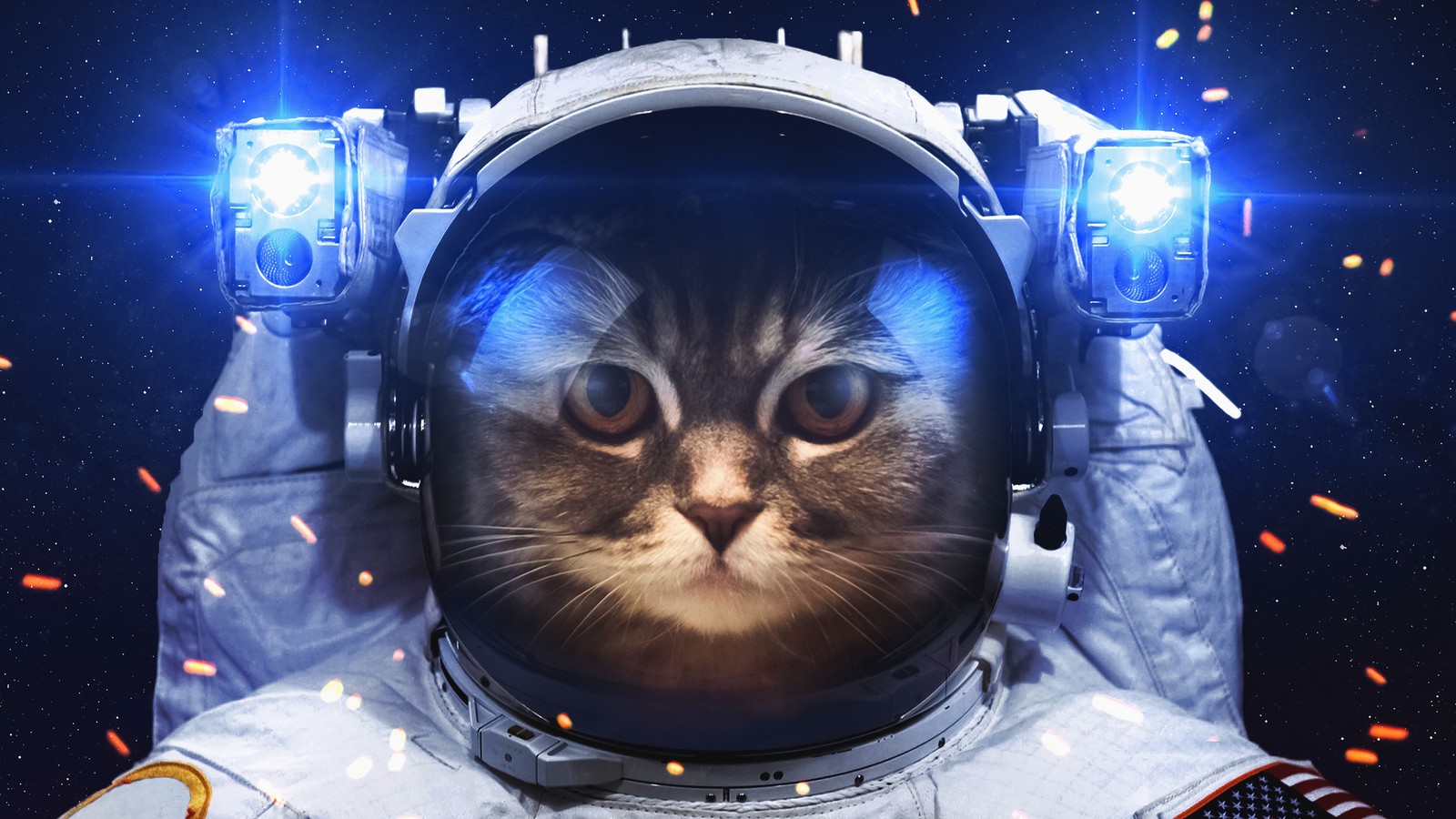 A close up of a cat in a space suit with a light on (astronaut, cat, animals)