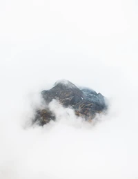 snow, rock, fog, tree, winter wallpaper