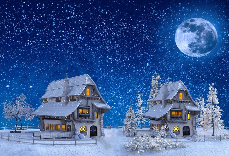 A couple of houses sitting on top of a snow covered field (house, snow, moon, winter, moonlight)