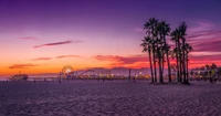 Serenidad del crepúsculo: Venice Beach al atardecer con palmeras y horizonte oceánico