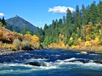 Serener Fluss fließt durch lebendige herbstliche Wildnis