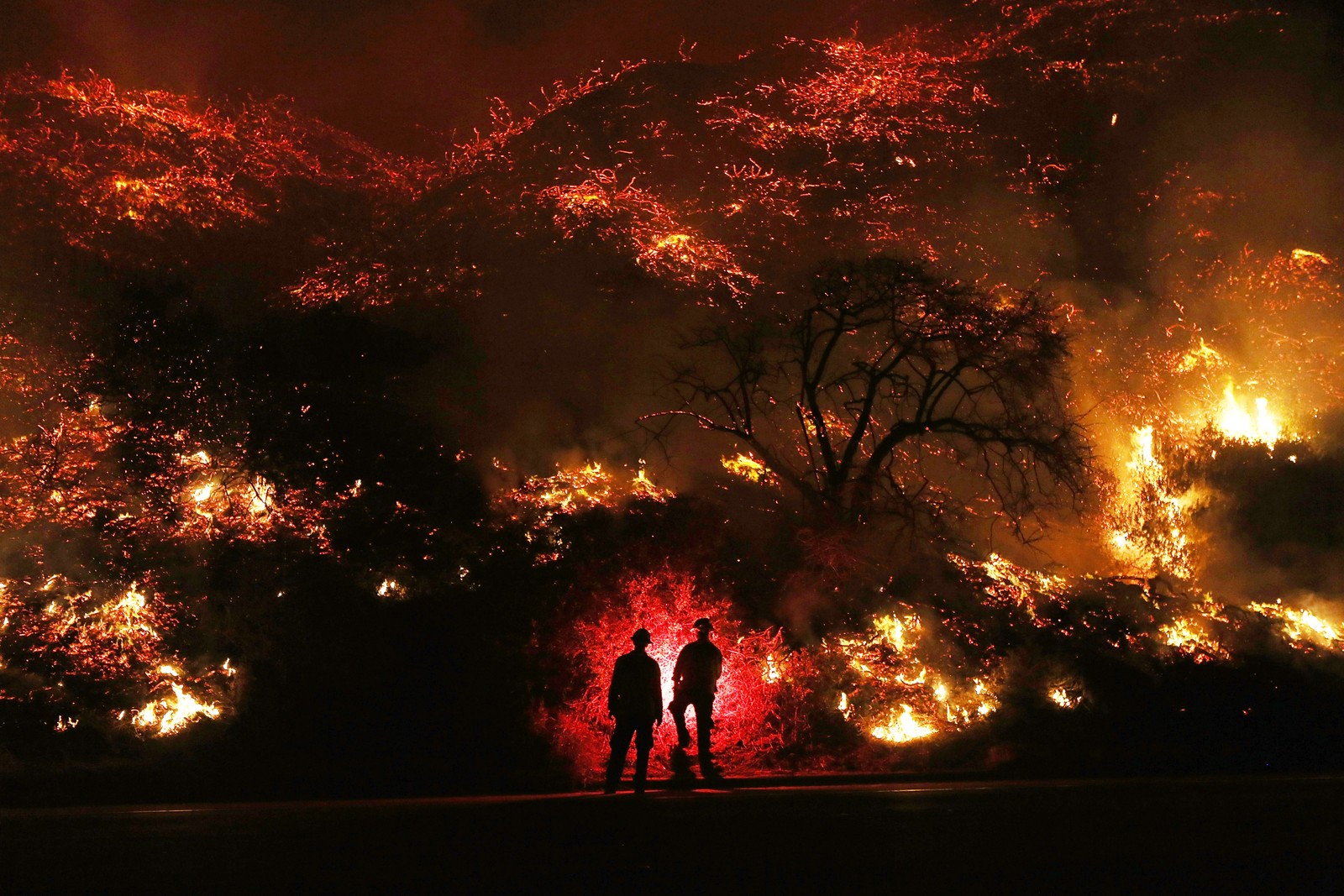 Dos personas de pie frente a un fuego con un gran arbusto detrás de ellas (llama, explosión, calor, los ángeles, los angeles)