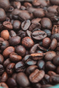 Variety of Roasted Coffee Beans: A Visual Delight