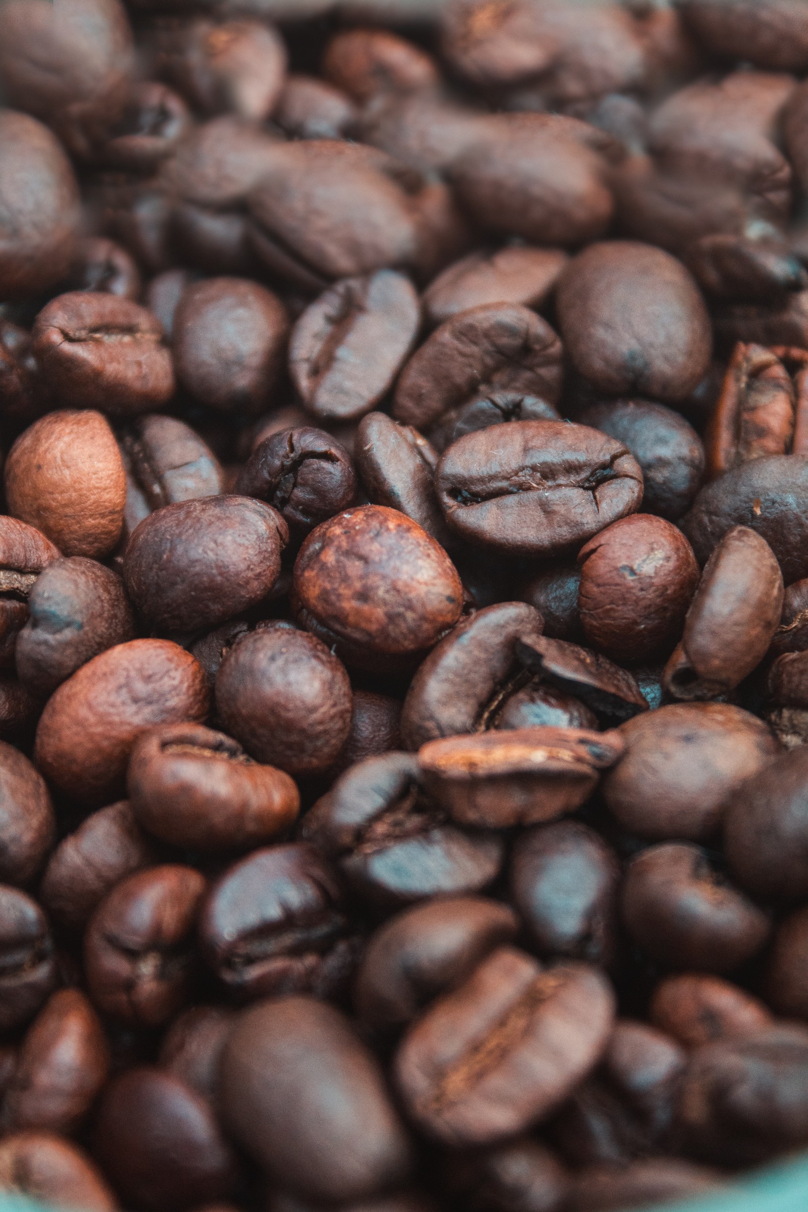 Un primer plano de un tazón de granos de café con una tapa verde (café, grano de café, tostado de café, café arábica, cafeína)