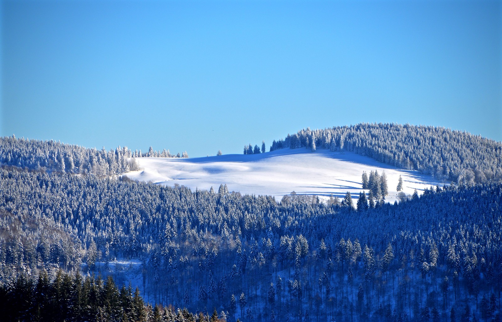 Montagne enneigée avec des arbres et une colline au loin (forêt dhiver, neige, arbres, colline, vue du ciel)