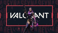 valorant, video game, reyna