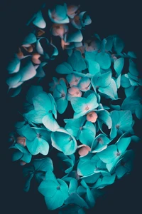 Fleurs Turquoise : Une Symphonie de Pétales Aqua