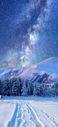 Starry Winter Night Over Snow-Covered Mountains