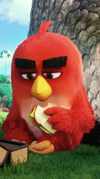 angry birds, fonds décran