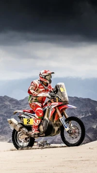 Cavalier en action : Moto du Rallye Dakar au milieu d'un paysage dramatique