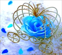 blau, rose